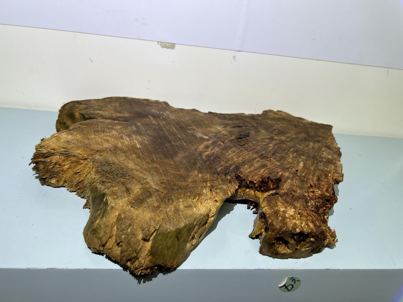 零元拍：香杉木老根榴干泡茶盘 毛坯，未打磨抛光，尺寸约：420/300/厚35MM，满花，药香满鼻，因为没有上漆，干燥天气可能会产生裂纹，属于正常现象