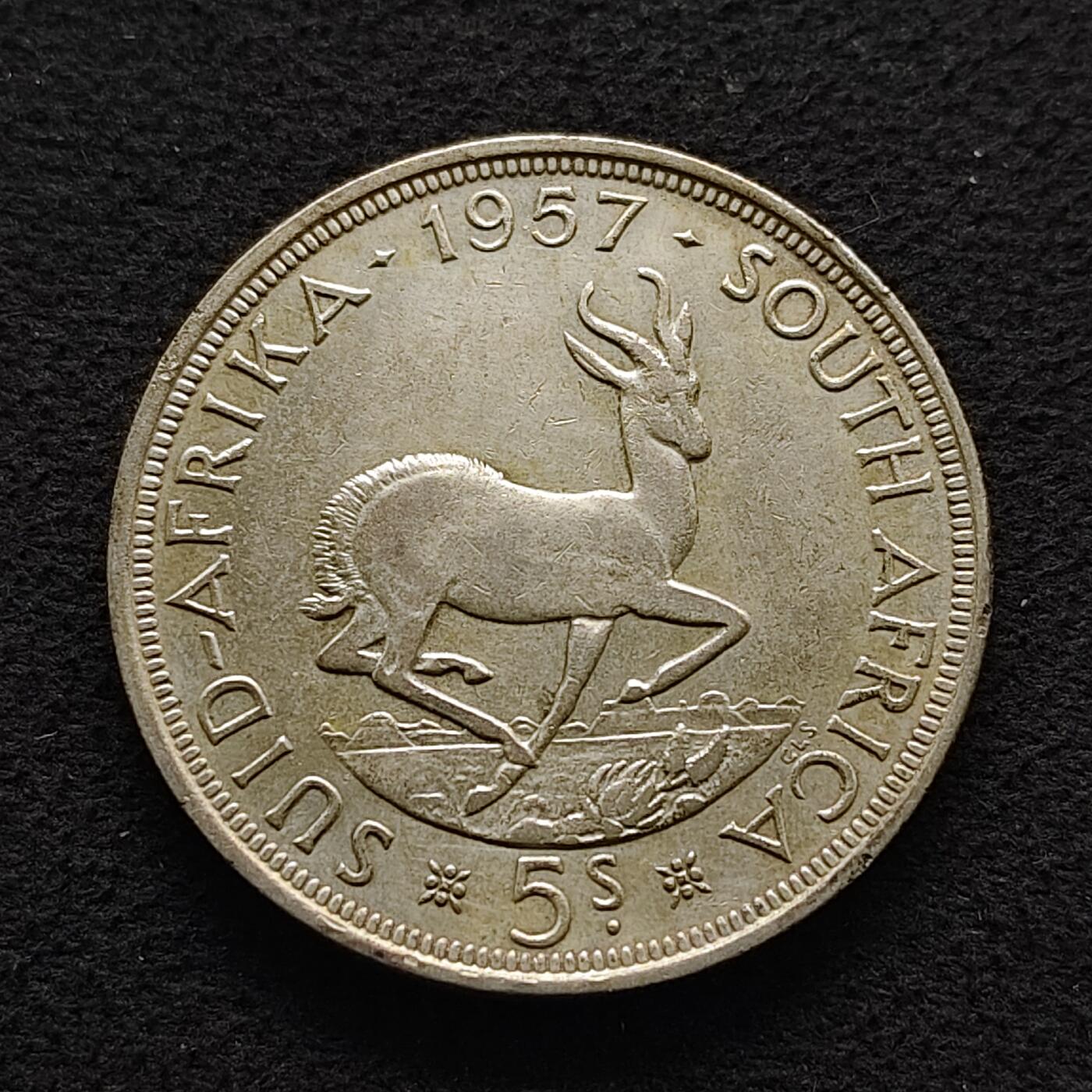 【全场包邮】纯粹捡漏拍491场（免费代拍第28场）