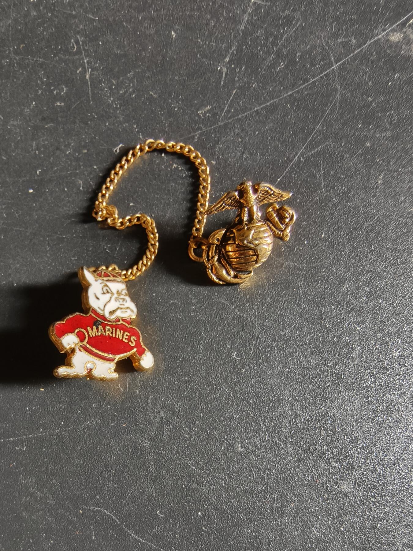 老王徽章第172期 美国海军陆战队链章