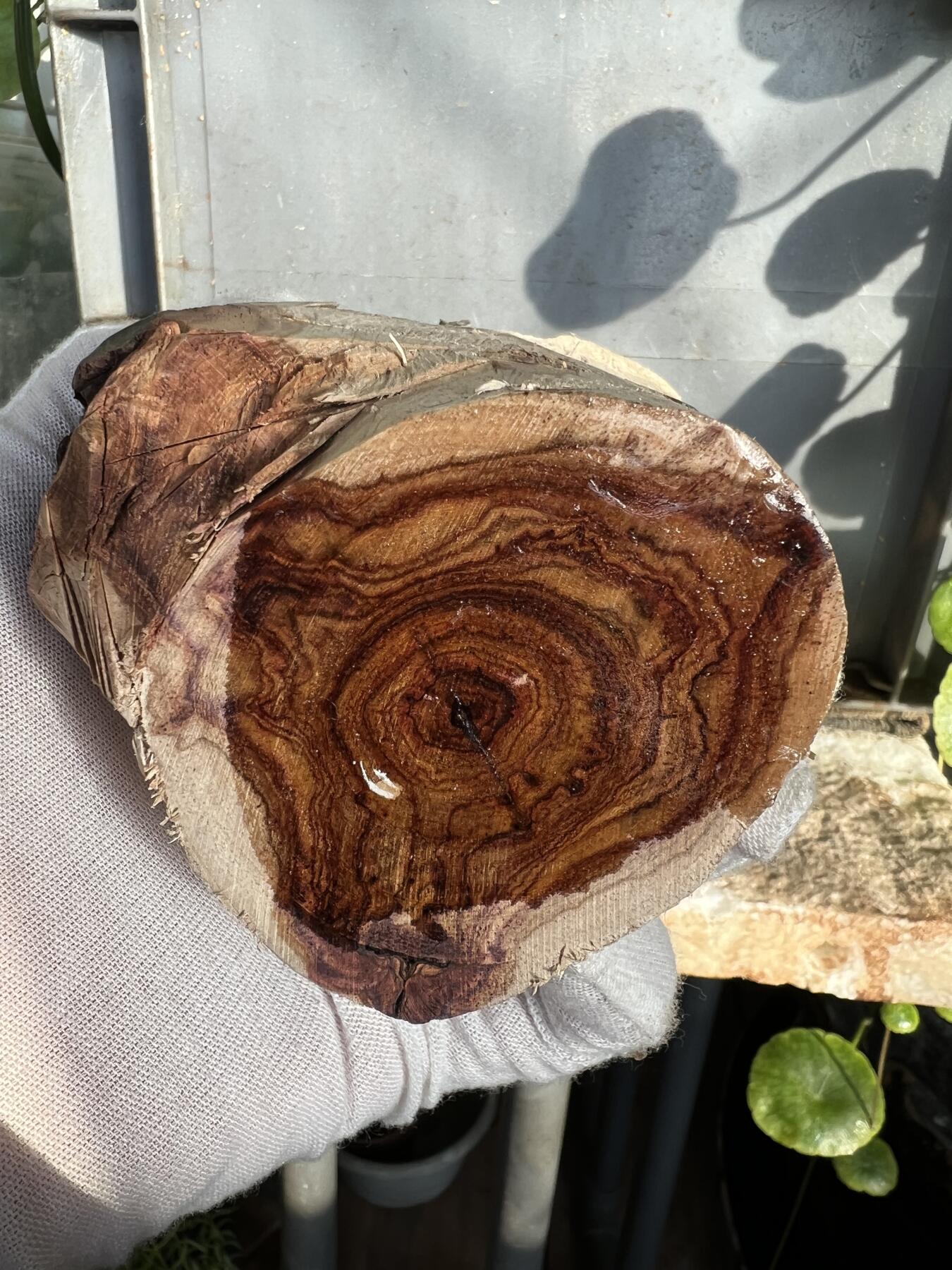 零元拍：  NO88-3 海南黄花梨原料。115/40/65/55MM