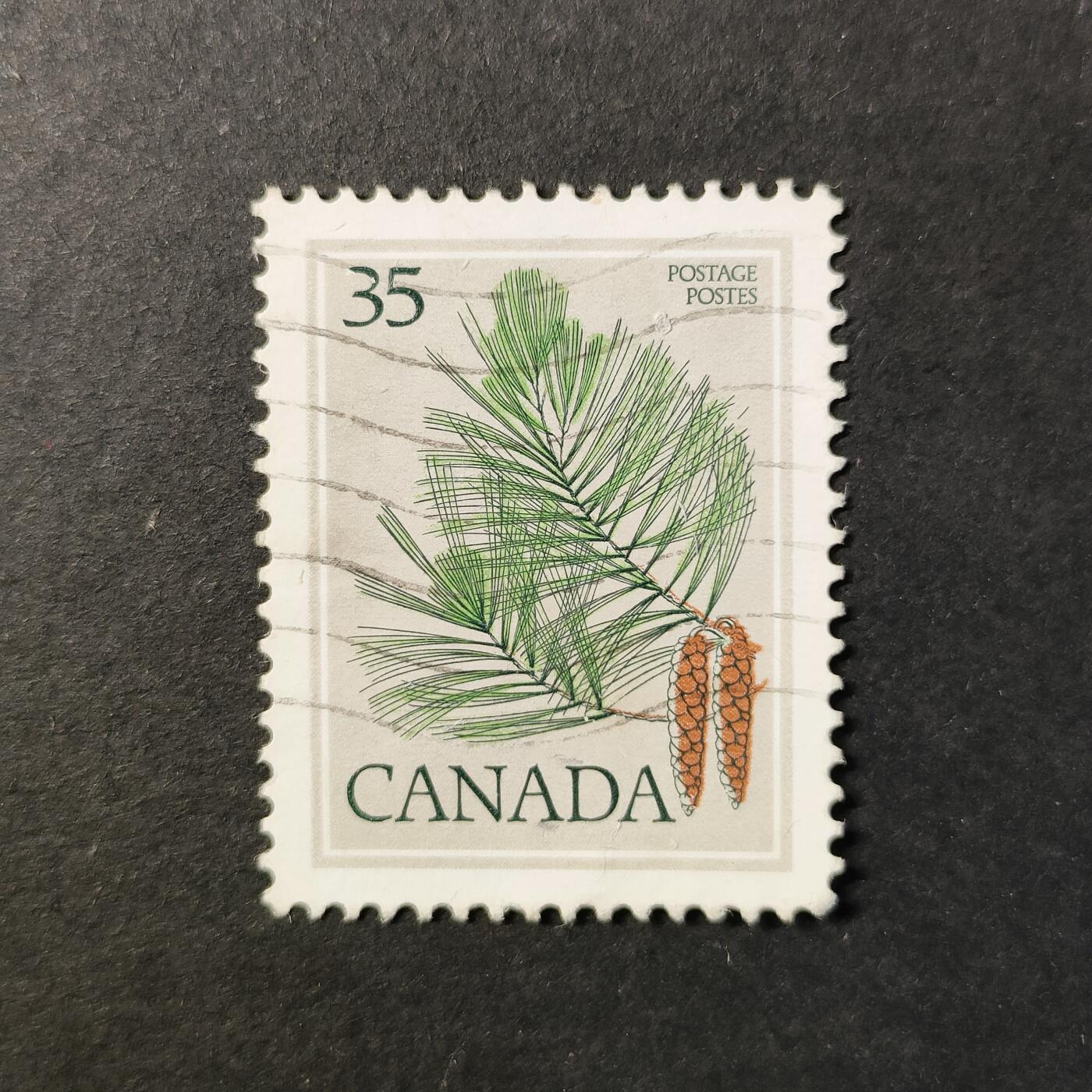 嘉禾收藏    【第421期】            无佣金、可寄存、满30元包邮 邮票一枚