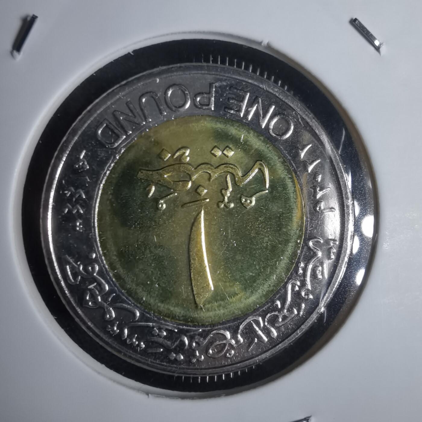 沼泽如烟--第949场 埃及