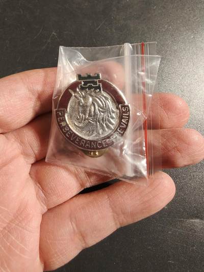 老王徽章第172期 - 美国陆军第49医疗营证章