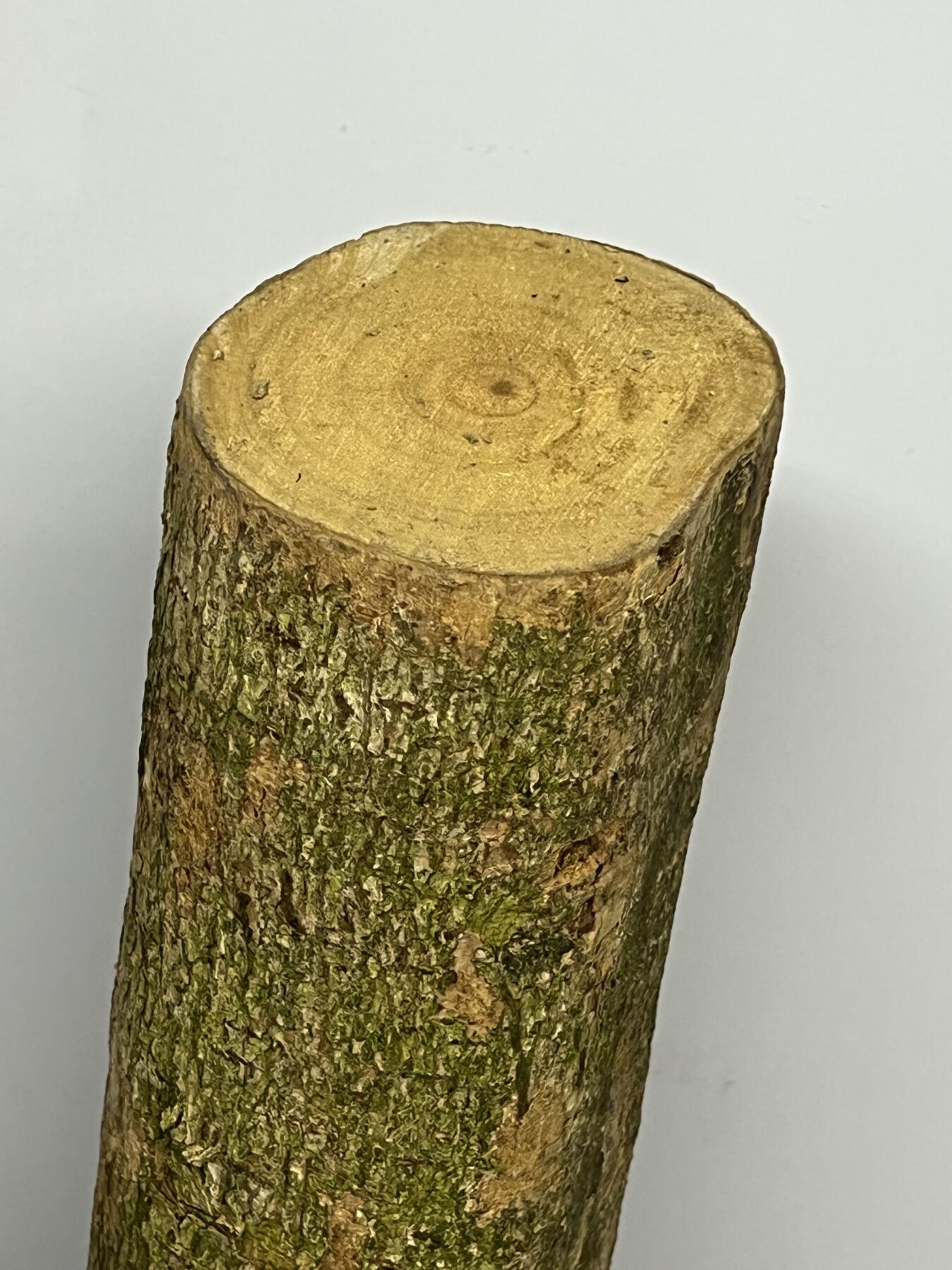 零元拍： 1227-1 金丝楠 原木 风水柱 横财（材）带皮， 尺寸：81/11.5/CM。抛光后金灿灿满香。