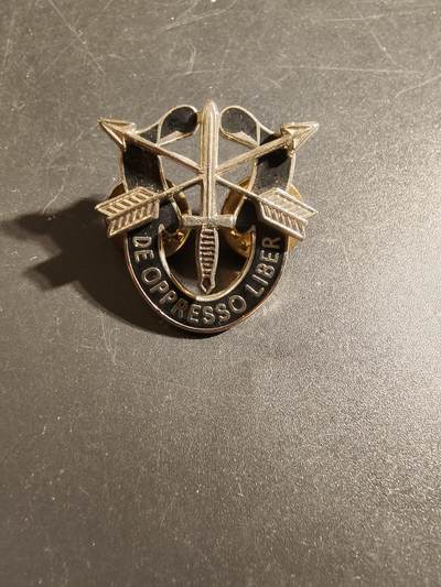 老王徽章第172期 - 美国陆军特种部队证章