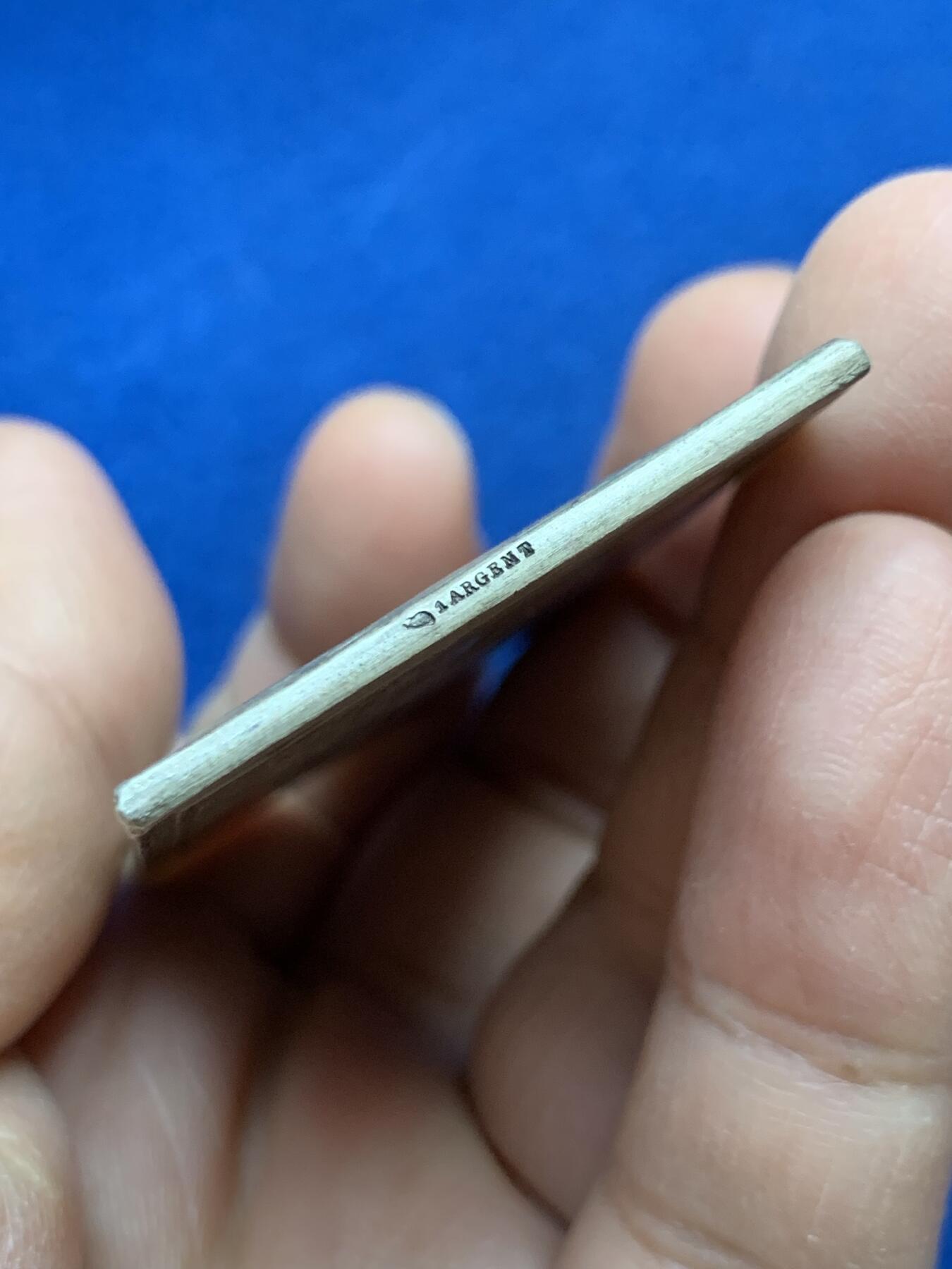 《竞宝斋》第452场 周日，周一 2场连拍 （全场包邮，欢迎送拍） 名家丹尼尔·杜普伊作《巢》方型纪念银章 59.5克 66*37.2mm 丰饶角1银 好品