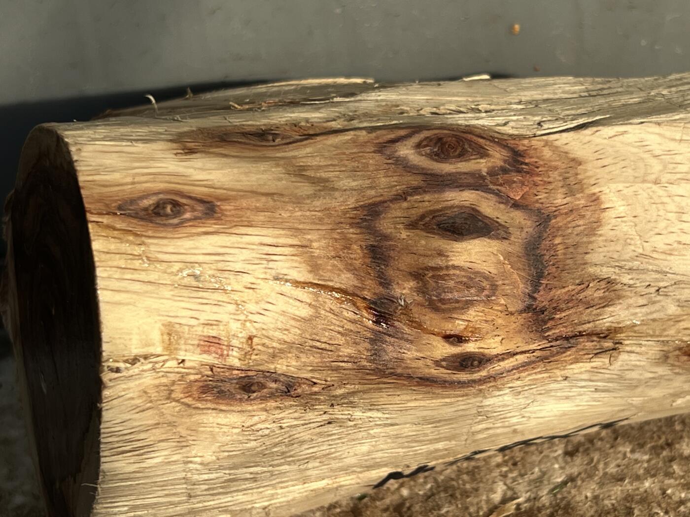 零元拍：  NO88-3 海南黄花梨原料。115/40/65/55MM