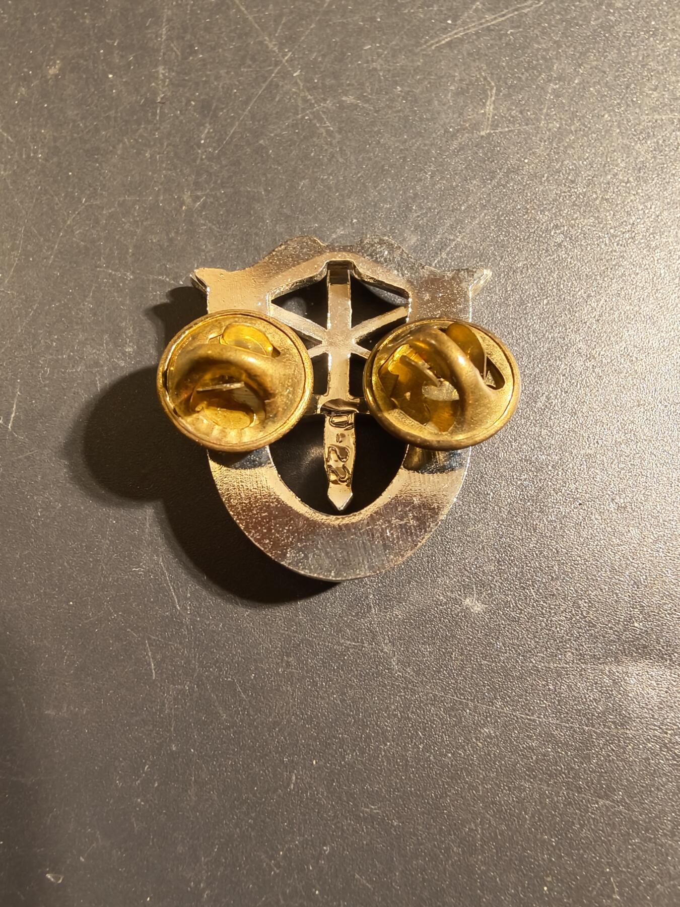 老王徽章第172期 美国陆军特种部队证章