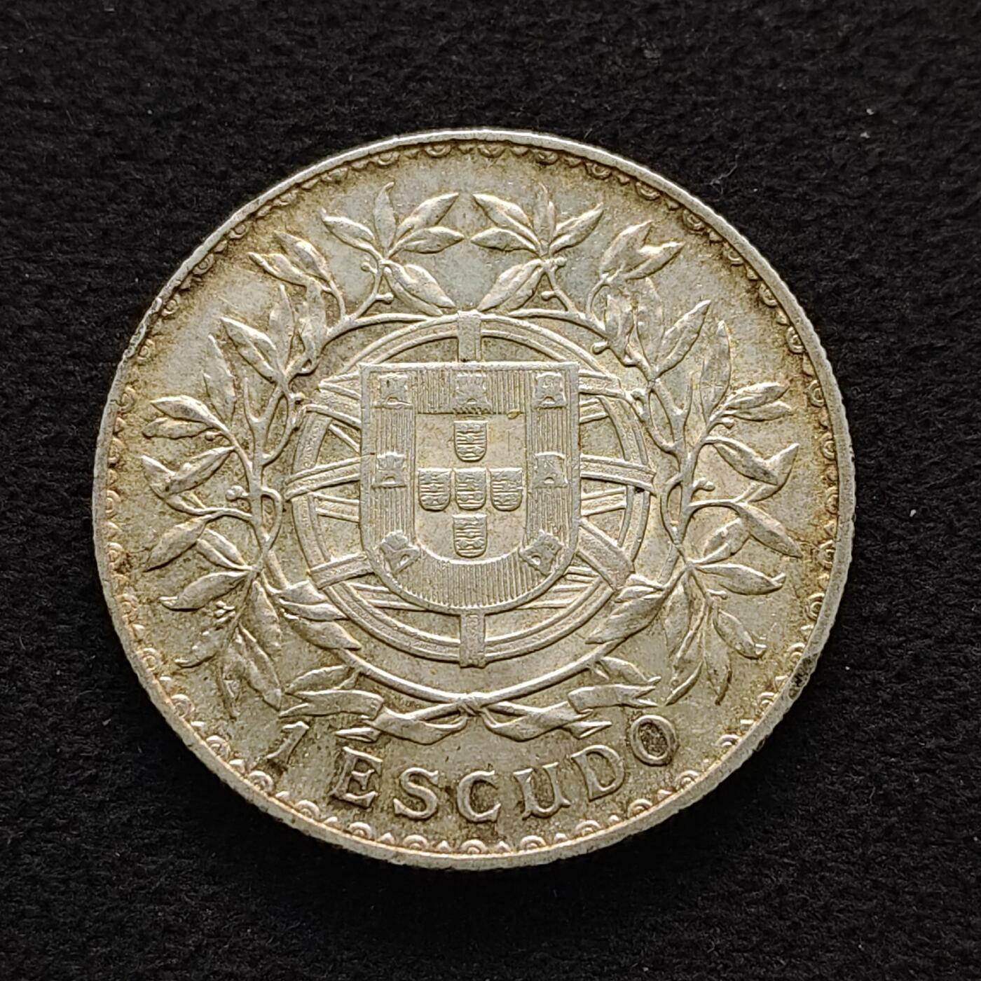 【全场包邮】纯粹捡漏拍491场（免费代拍第28场）