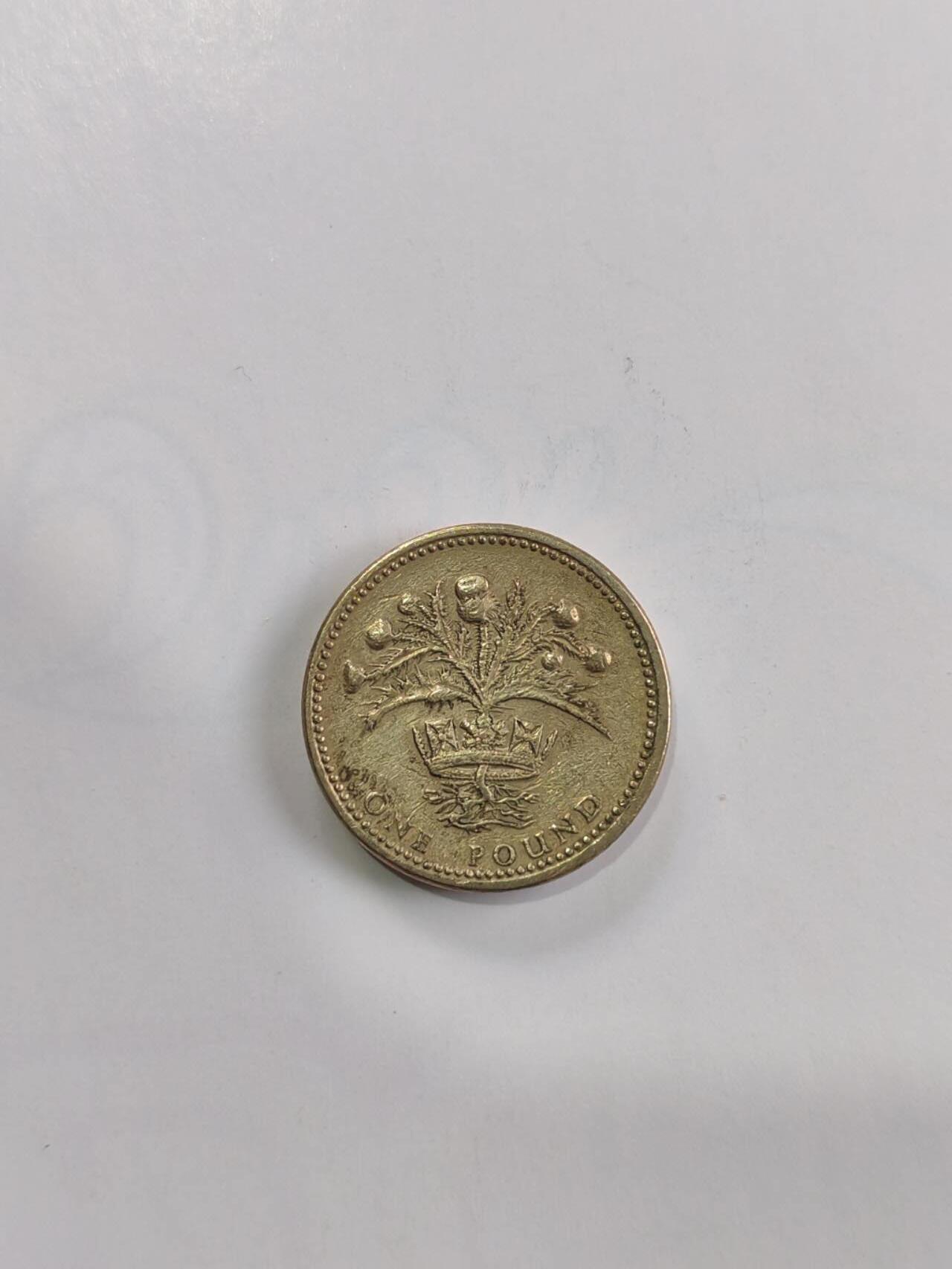 专场 英国1英镑圆形硬币（苏格兰蓟花版）