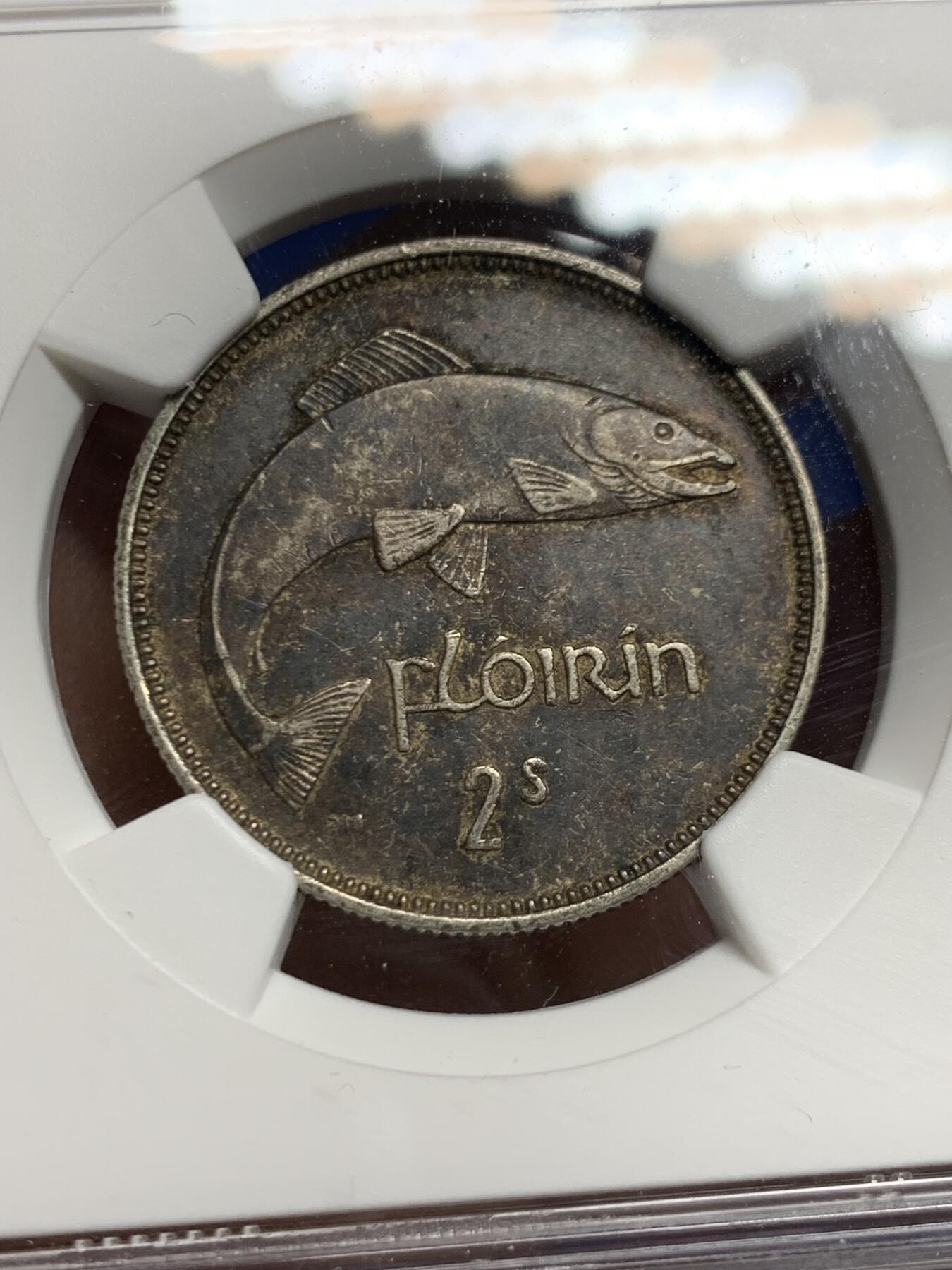 《竞宝斋》第452场 周日，周一 2场连拍 （全场包邮，欢迎送拍）