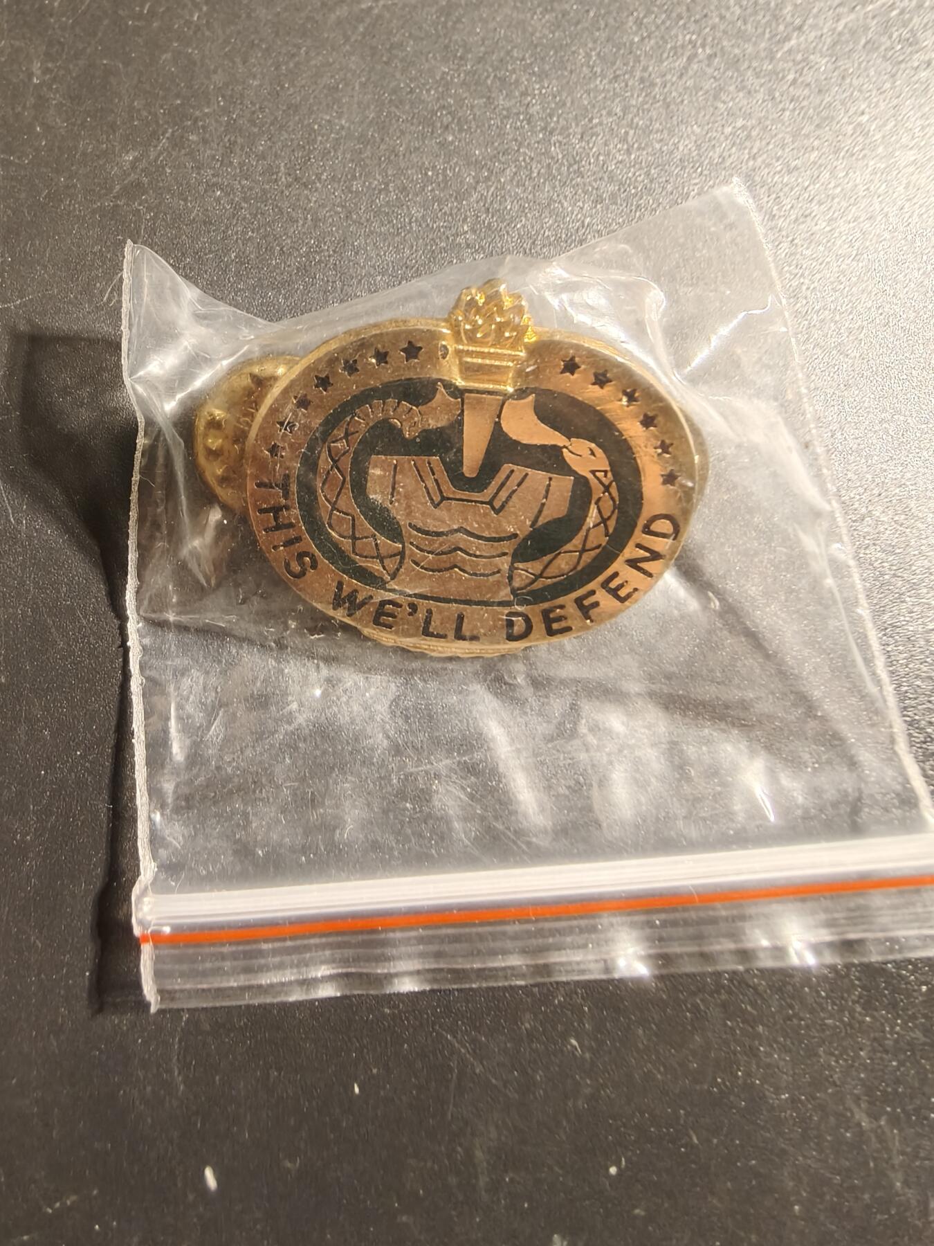 老王徽章第172期 美国陆军训练士官/教官证章