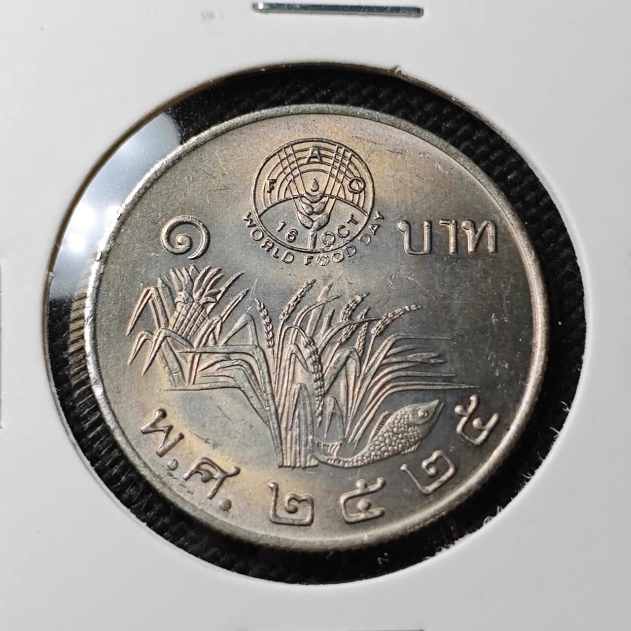 KK钱币收藏小铺 《套币 好品/批量散币专场》  2月预留时间 周末发货  泰国1泰铢FAO纪念币 好品