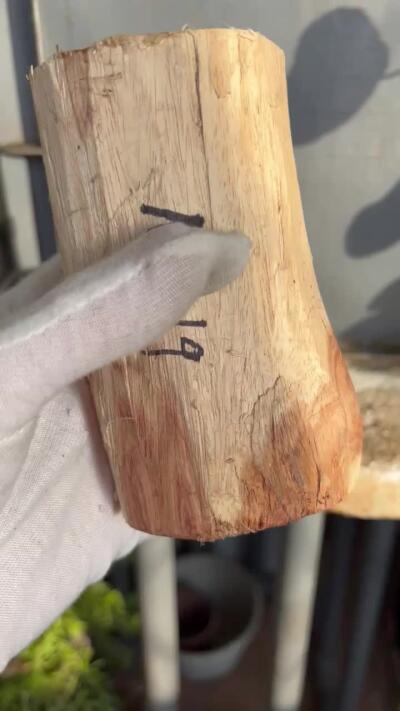 零元拍：  NO619 海南黄花梨原料。123/75/65/50/45MM