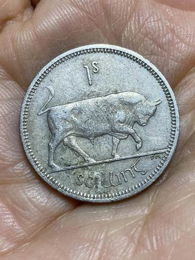 2026年第一场(总第一百七十场）外国好品散币场(免佣金) - 爱尔兰🇮🇪1964年1先令(共和国时期第一套第二版)