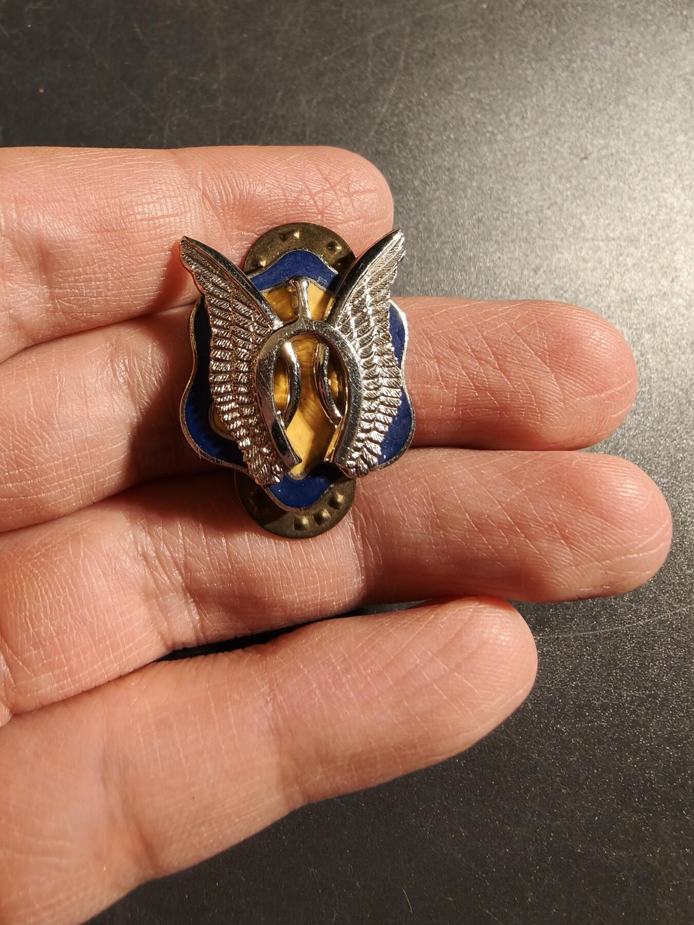 老王徽章第172期 美国陆军第17骑兵团证章