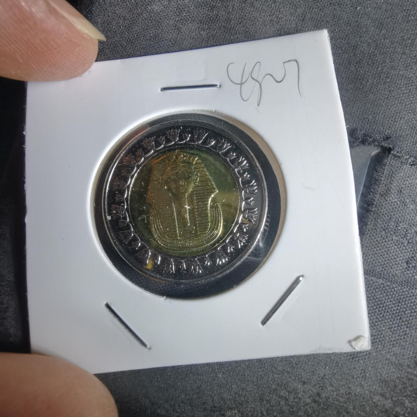 沼泽如烟--第949场 埃及