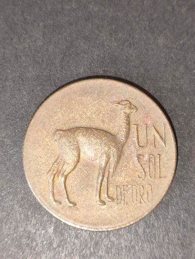 猩哥外币小铺➨【第214场】 - 秘鲁