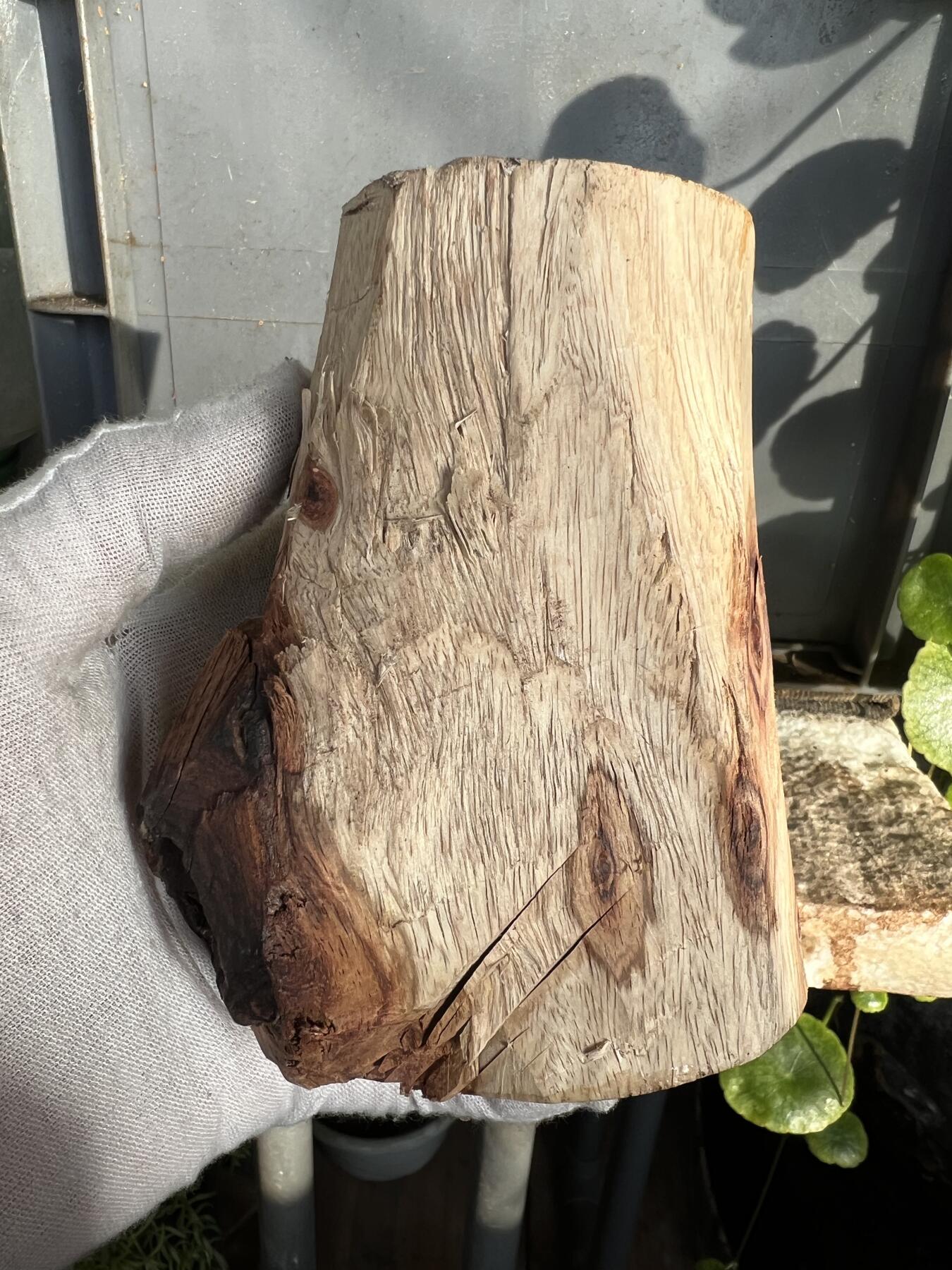 零元拍：  NO88-3 海南黄花梨原料。115/40/65/55MM