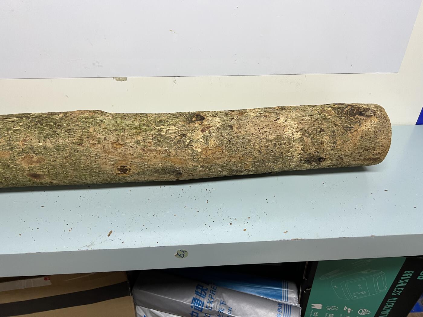 零元拍： 1227-1 金丝楠 原木 风水柱 横财（材）带皮， 尺寸：81/11.5/CM。抛光后金灿灿满香。