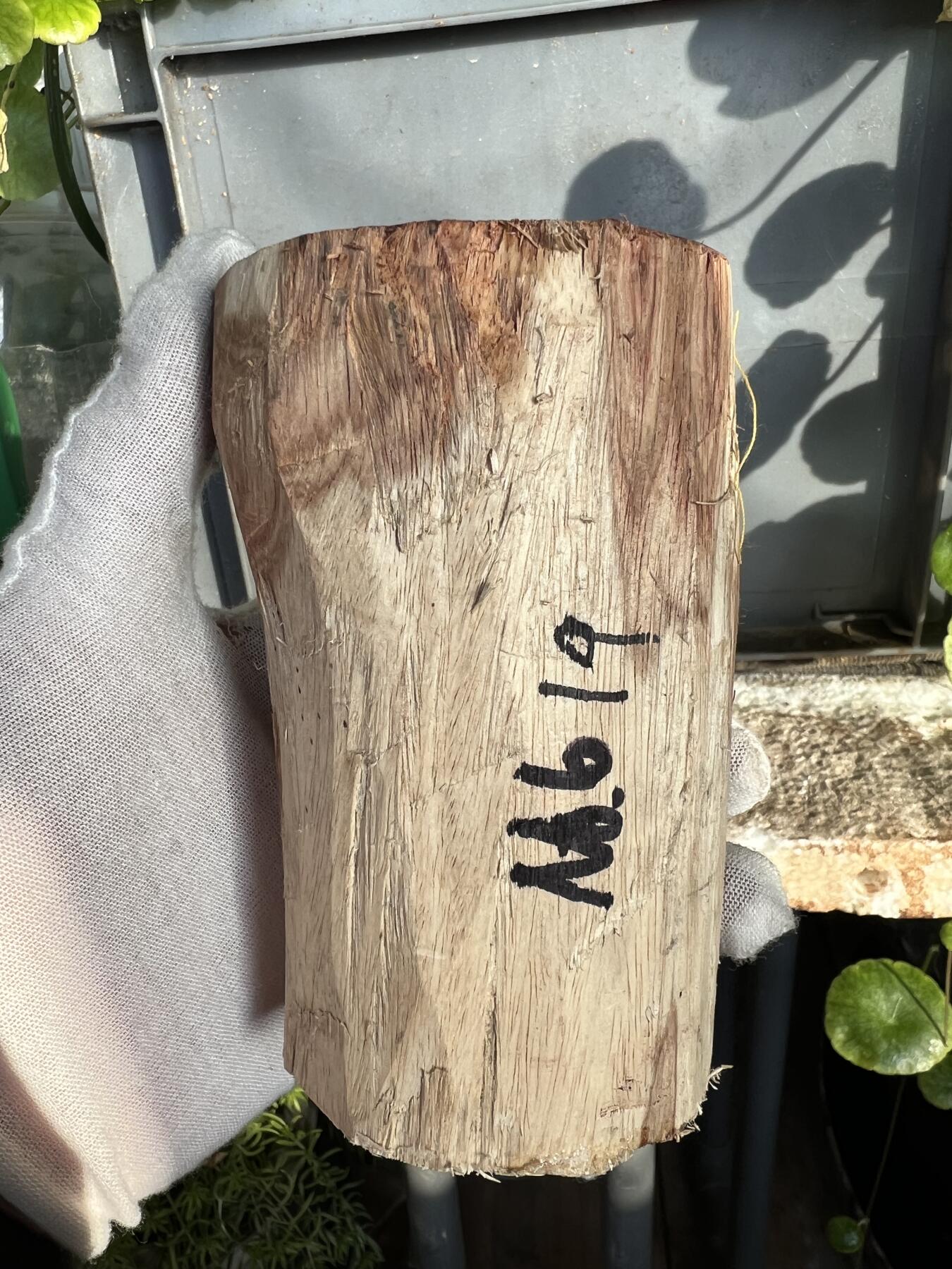 零元拍：  NO619 海南黄花梨原料。123/75/65/50/45MM