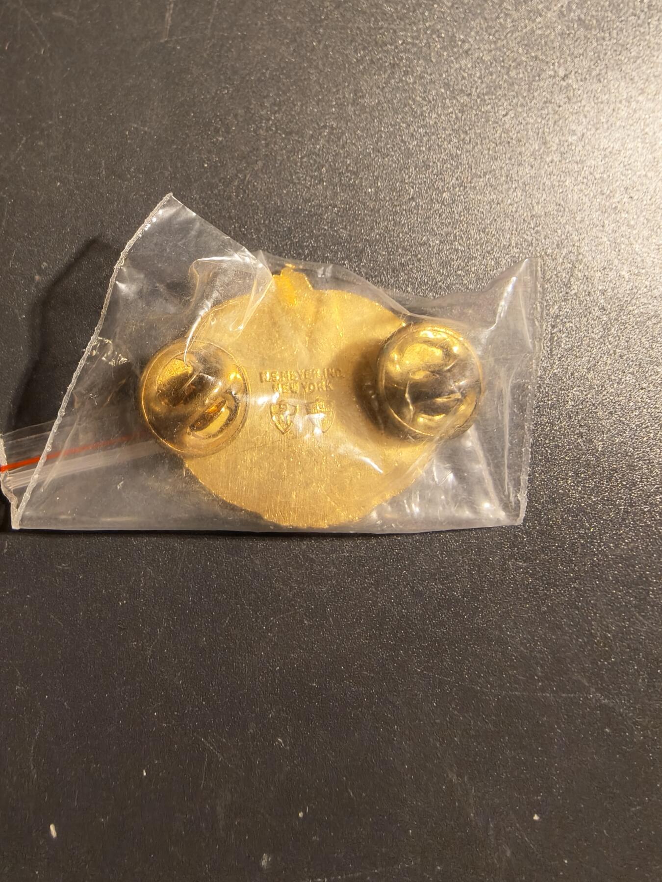 老王徽章第172期 美国陆军训练士官/教官证章