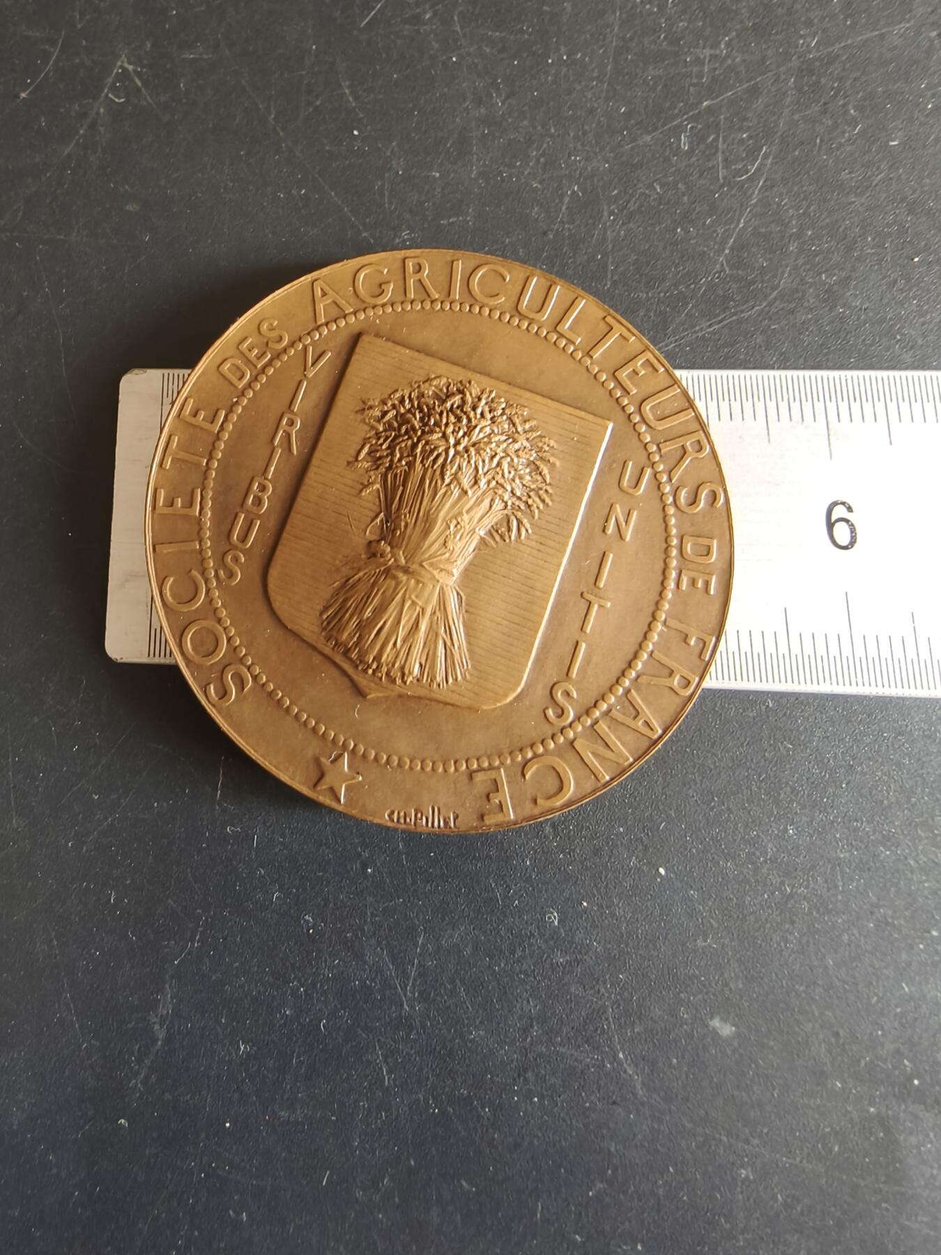 老王徽章第172期 法国农业委员会大铜章    原盒    直径50mm   重量61.9g