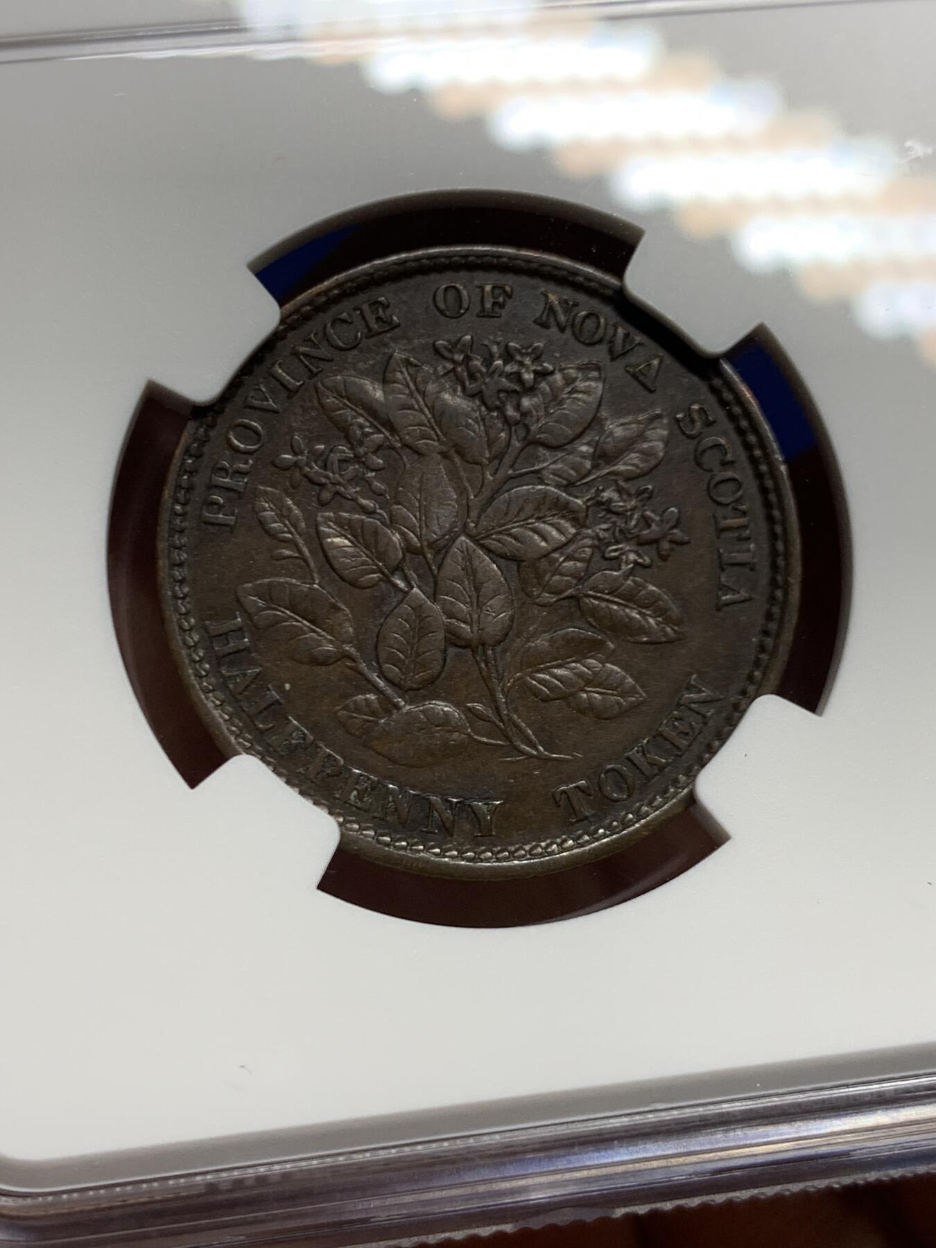 《竞宝斋》第452场 周日，周一 2场连拍 （全场包邮，欢迎送拍） NGC AU53BN 加拿大1856年小维五月花1/2便士铜币，同分里的好状态，花叶细节精美，北美的代表性花卉，美国开端的象征，没几个好品，稀少品种