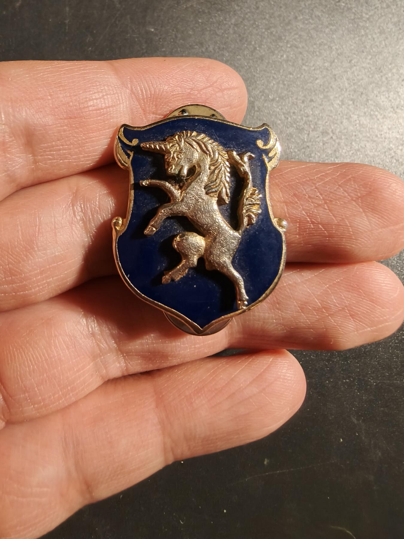 老王徽章第172期 美国陆军第6骑兵团证章 