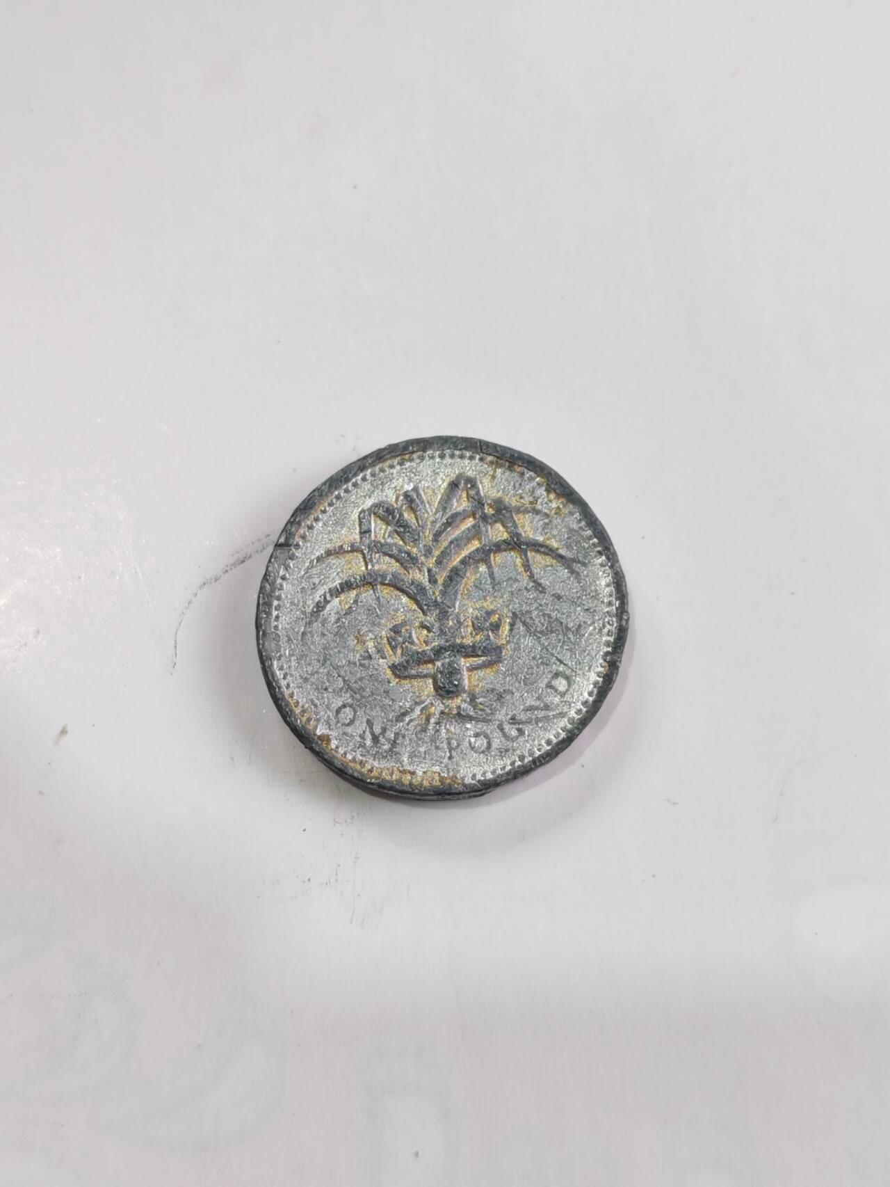 专场 英国1英镑圆形硬币（威尔士韭葱版）