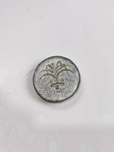 专场 - 英国1英镑圆形硬币（威尔士韭葱版）