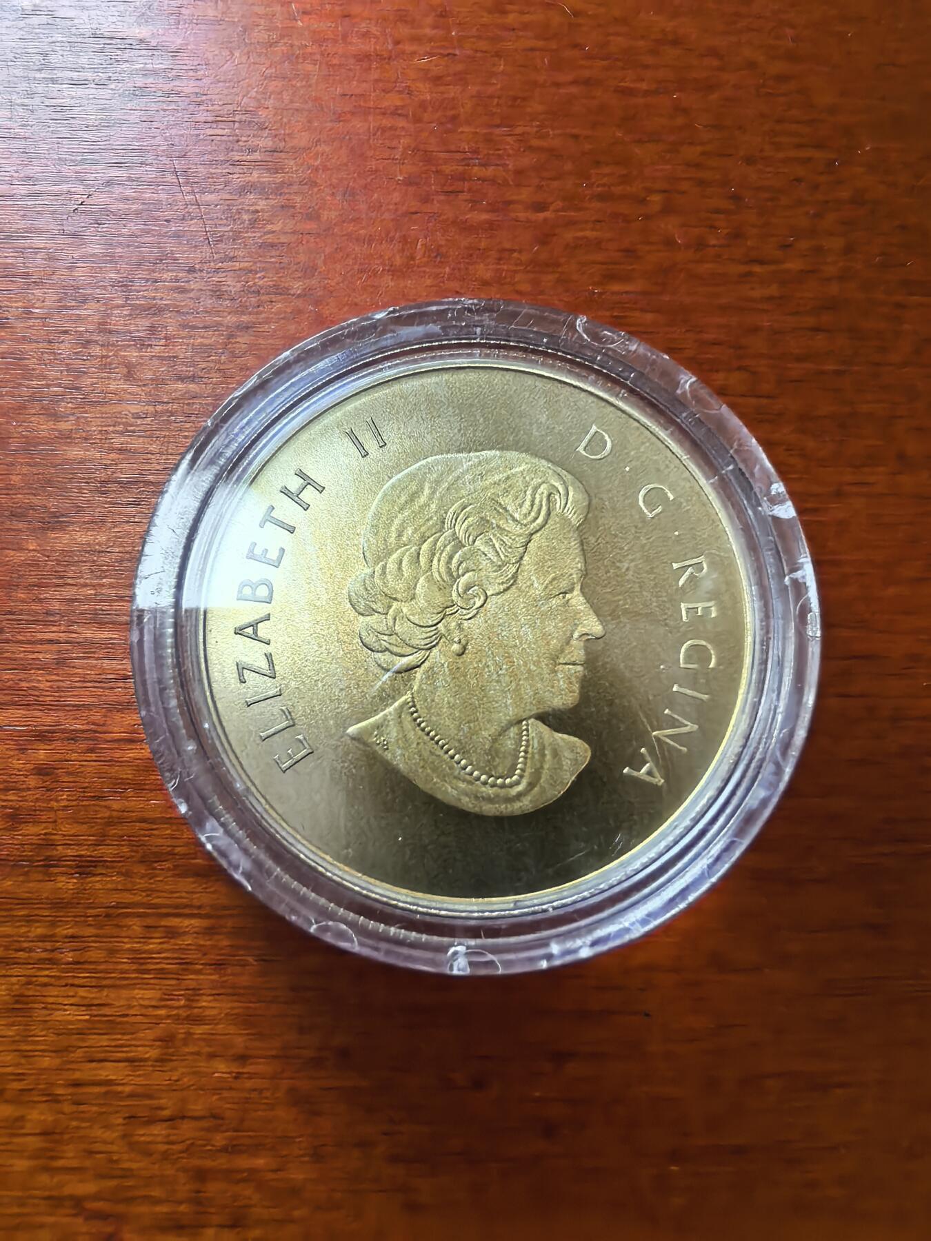 长老汇蛇年精选第八十九场拍卖 2013加拿大冰球10元镀金银币，15.87克9999银，盒证全，4万枚