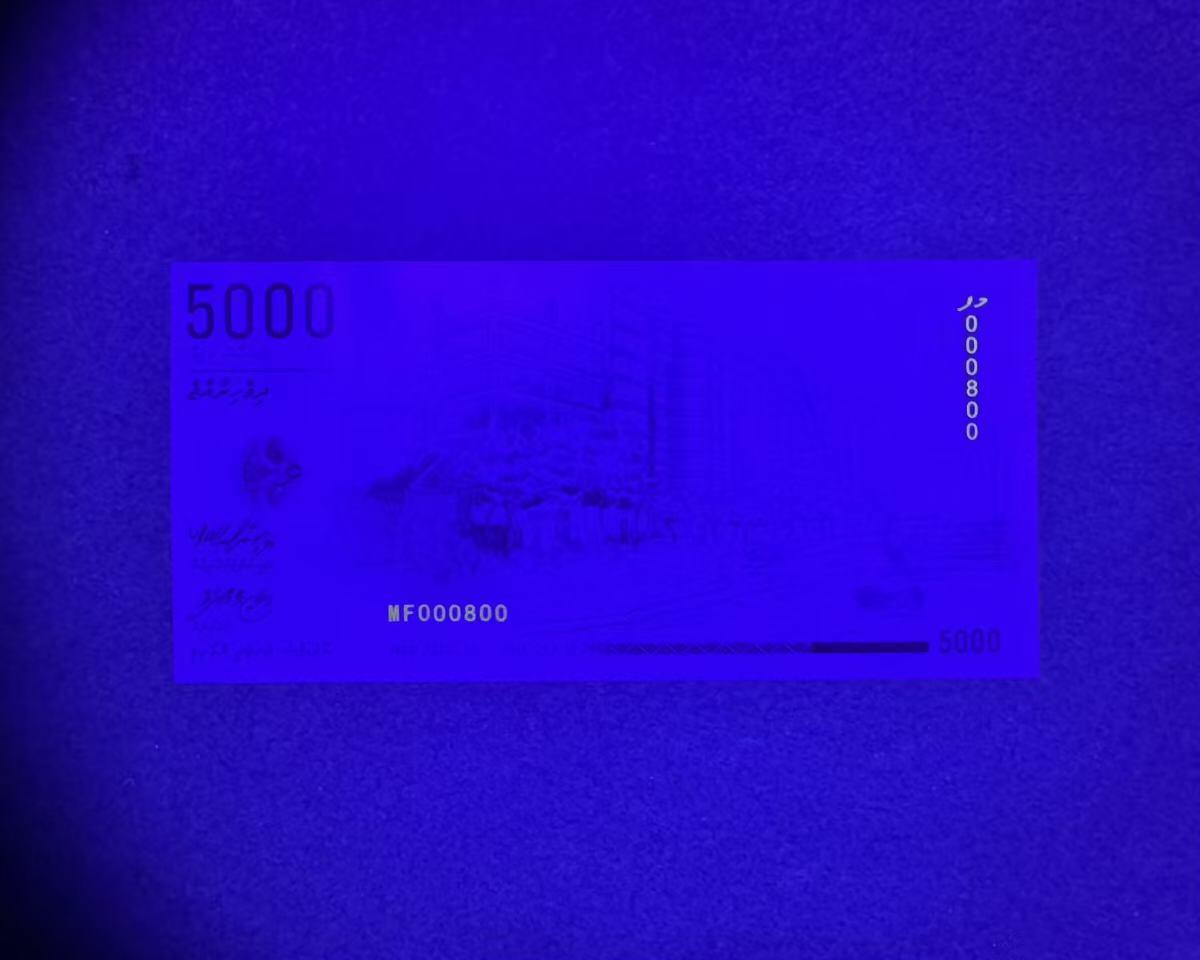 【Blue Auction】世界纸币精拍第769期——18级TOP拍卖/信誉/品质/专业/高效💫