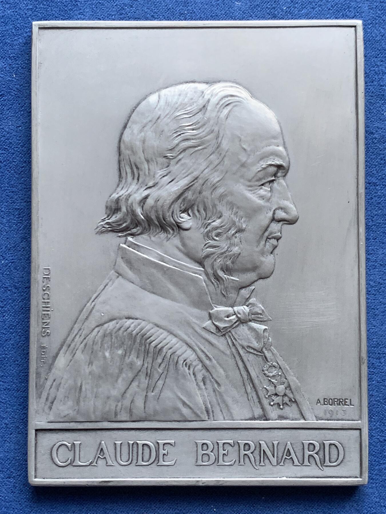 《竞宝斋》第452场 周日，周一 2场连拍 （全场包邮，欢迎送拍） 1913年法国生物学家克劳德纳德诞辰百年铝质纪念章 133.2克 80*110.5mm 三角边铭 带盒 好品保存不易