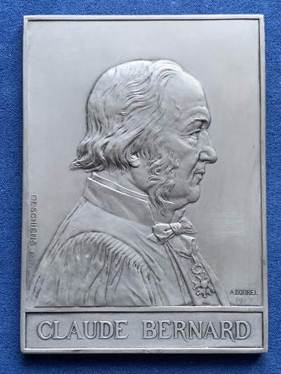 《竞宝斋》第452场 周日，周一 2场连拍 （全场包邮，欢迎送拍） - 1913年法国生物学家克劳德纳德诞辰百年铝质纪念章 133.2克 80*110.5mm 三角边铭 带盒 好品保存不易
