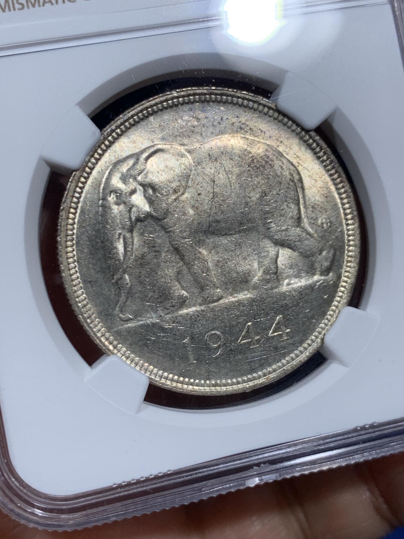 《竞宝斋》第452场 周日，周一 2场连拍 （全场包邮，欢迎送拍） NGC MS62 比属刚果1944年大象50法郎银币 转光好品