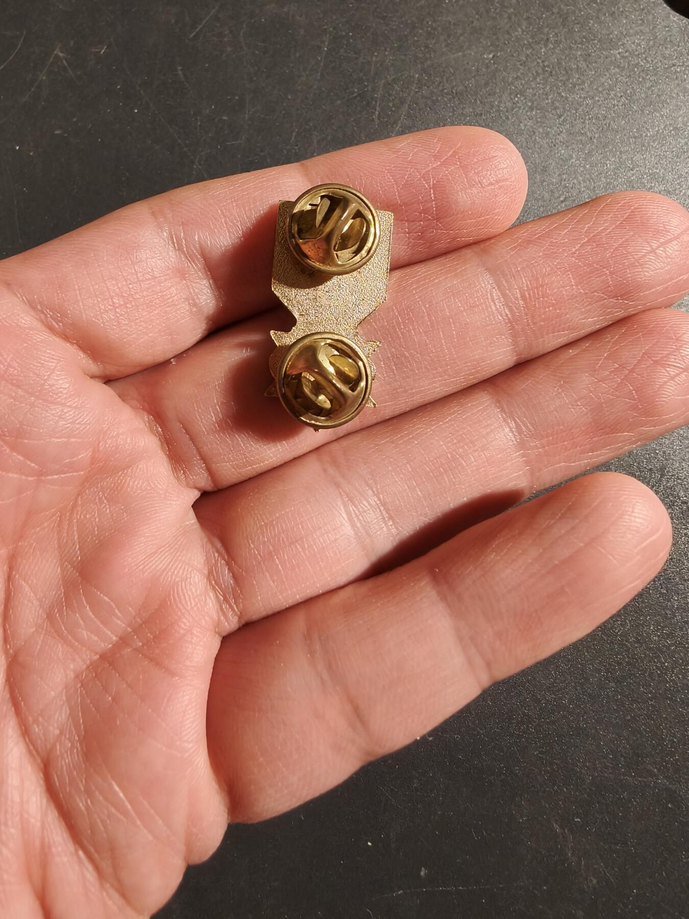 老王徽章第172期 南越越战战役奖章徽章