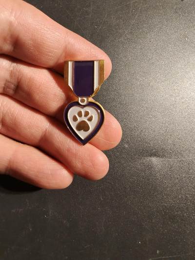 老王徽章第172期 - 美国紫心勋章之爪徽章    该徽章旨在提高人们对退伍军人创伤相关疾病（如PTSD 和TBI）的认识。 