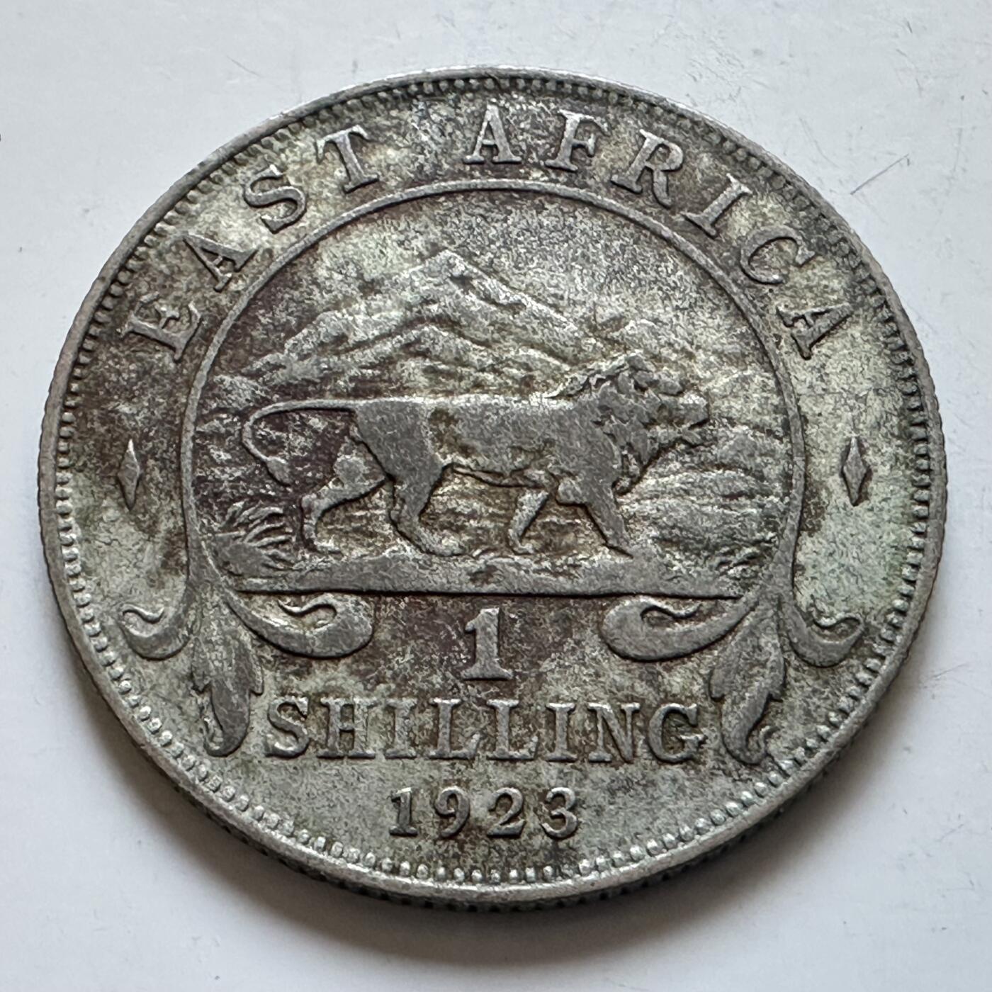 🌹外币初藏🌹🐯2025年第147场  每周二四六晚8️⃣点 接代拍 英属东非1923年1先令银币