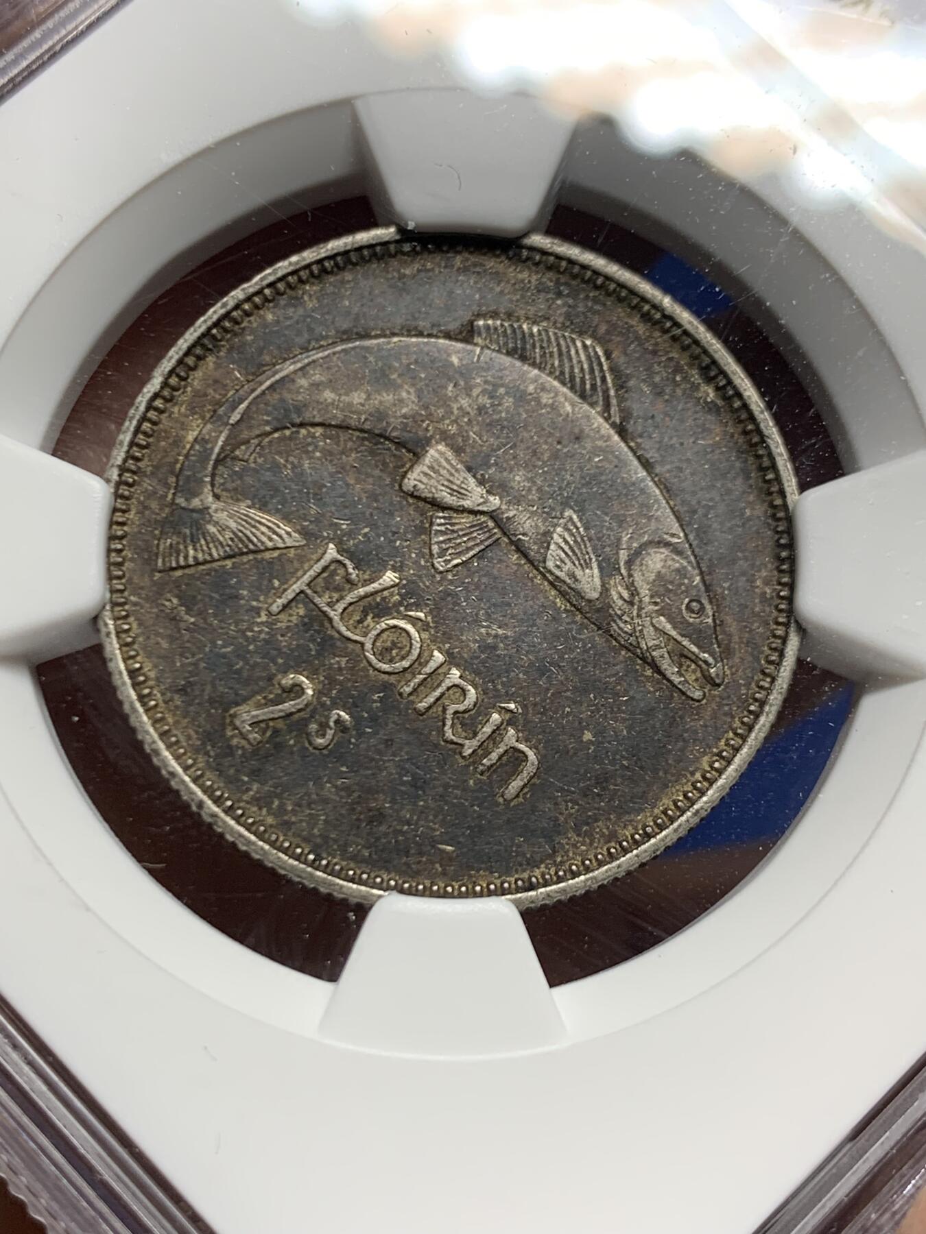 《竞宝斋》第452场 周日，周一 2场连拍 （全场包邮，欢迎送拍）