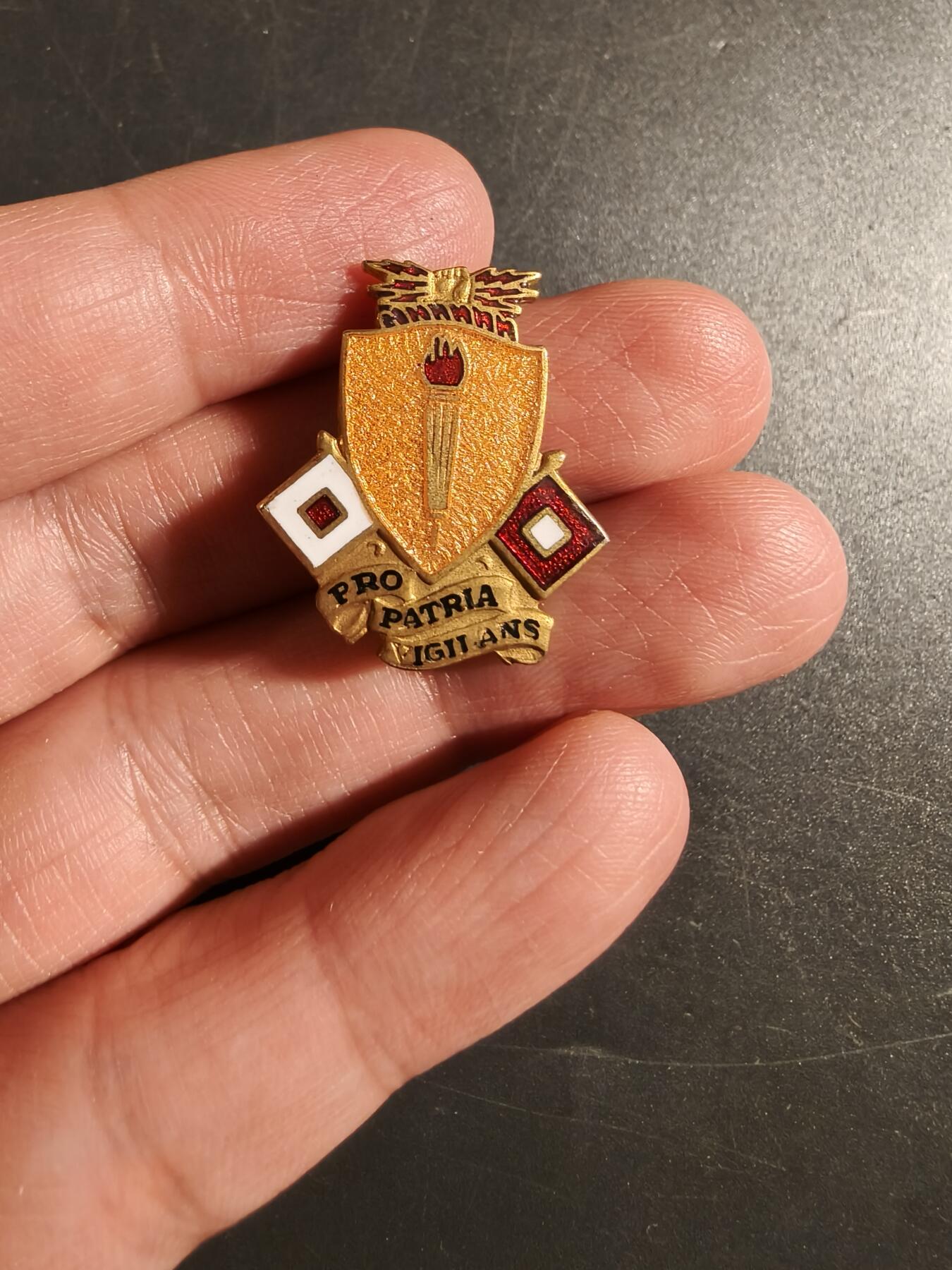 老王徽章第172期 美国通信兵学校证章    二战时期横针版   