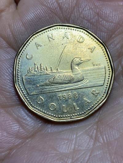 2026年第一场(总第一百七十场）外国好品散币场(免佣金) - 加拿大🇨🇦1988年1元(伊丽莎白二世中年花冠，低浮雕版，仅发行3年)