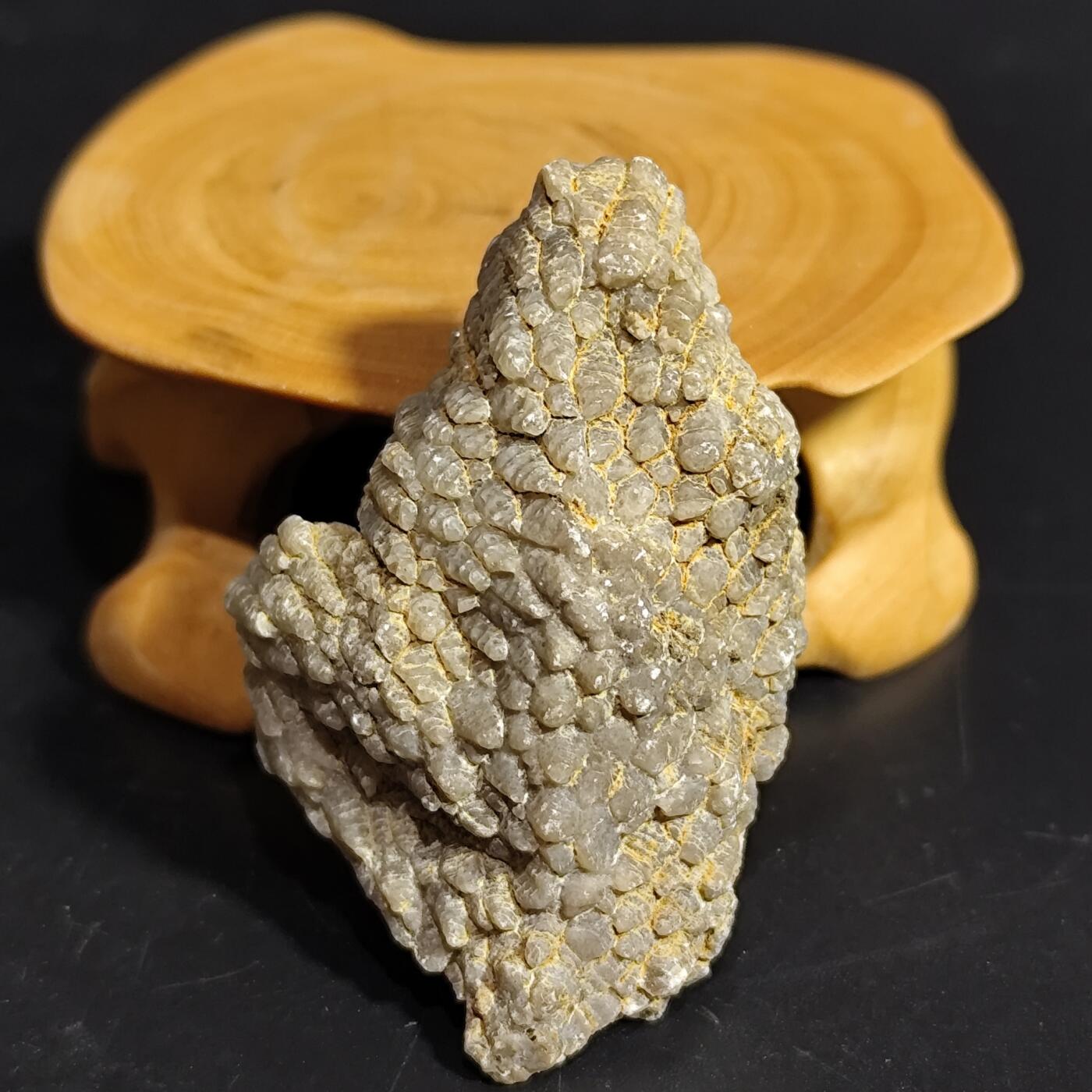 希腊罗马丝路打制币化石【中外钱币放漏】专场！陆小鱼的钱币仓，限时拍卖第080场 纹路独特 全玉化珊瑚化石 非常干净 难得 4.5亿年前奥陶纪时期海洋古生物化石标本25g