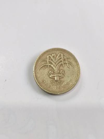 专场 - 英国1英镑圆形硬币（威尔士韭葱版）