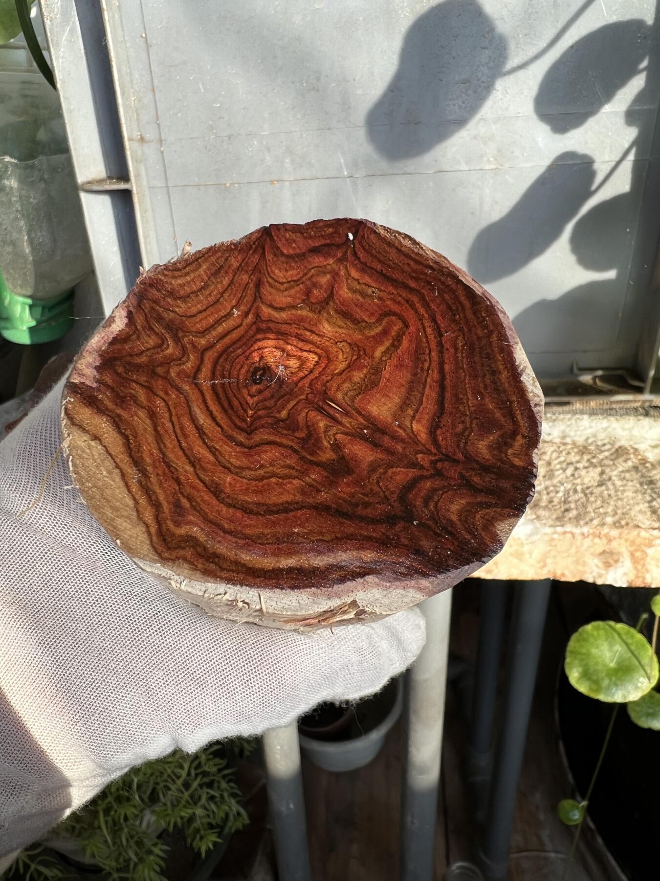 零元拍：  NO619 海南黄花梨原料。123/75/65/50/45MM