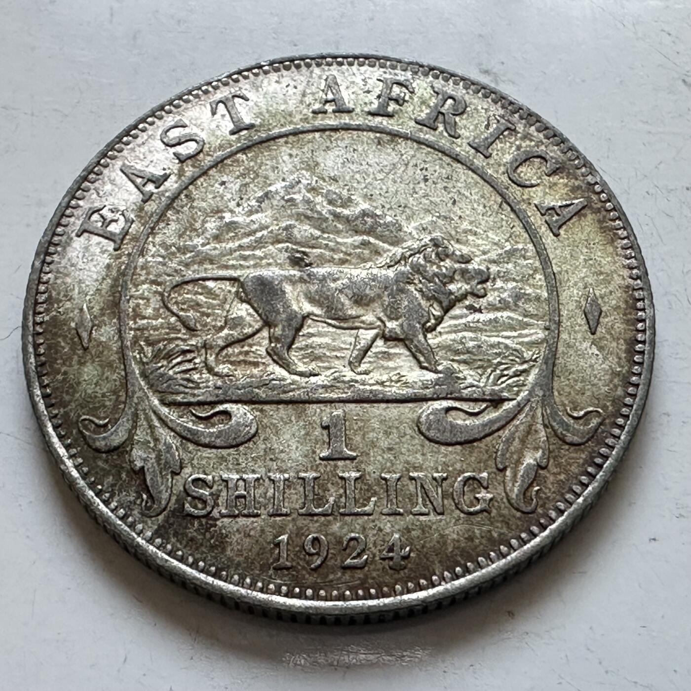 🌹外币初藏🌹🐯2025年第147场  每周二四六晚8️⃣点 接代拍 英属东非1924年1先令银币