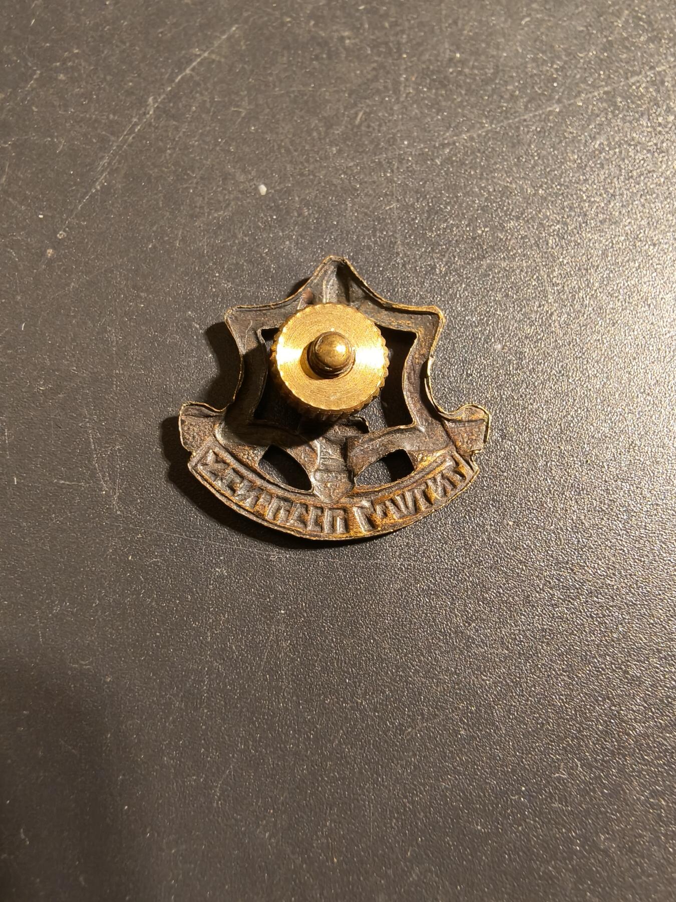 老王徽章第172期 以色列国防军IDF贝雷帽徽