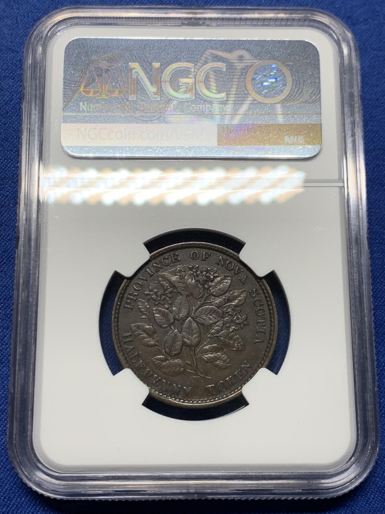 《竞宝斋》第452场 周日，周一 2场连拍 （全场包邮，欢迎送拍） NGC AU53BN 加拿大1856年小维五月花1/2便士铜币，同分里的好状态，花叶细节精美，北美的代表性花卉，美国开端的象征，没几个好品，稀少品种