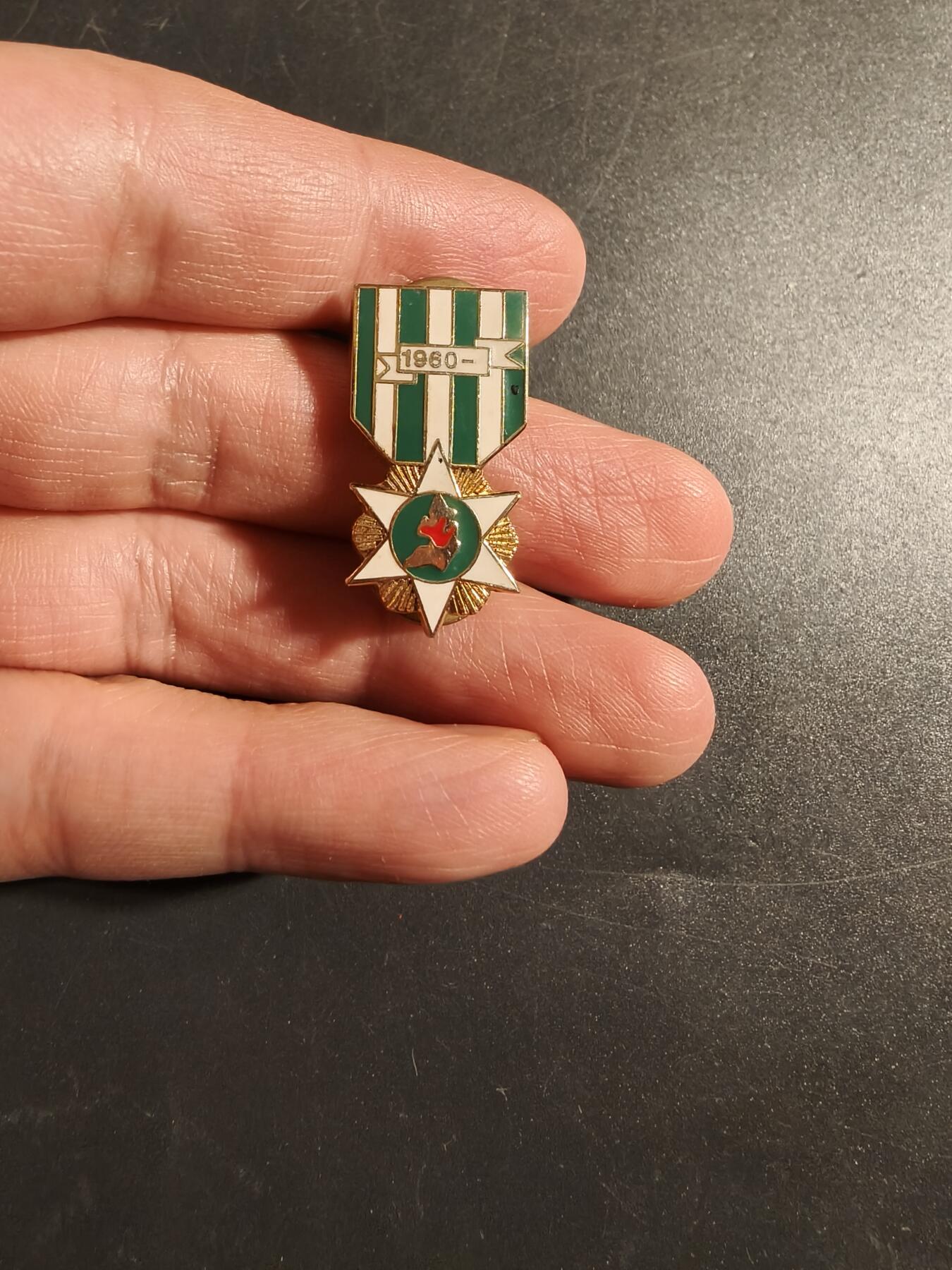 老王徽章第172期 南越越战战役奖章徽章