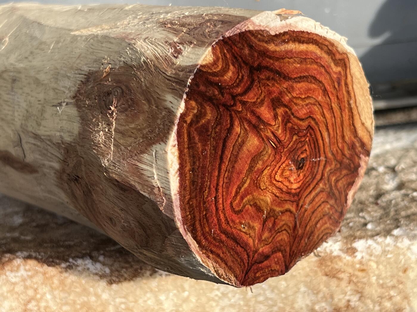 零元拍：  NO619 海南黄花梨原料。123/75/65/50/45MM